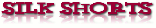 Silk Shorts real estate web design logo, 3 shorts on a clothesline